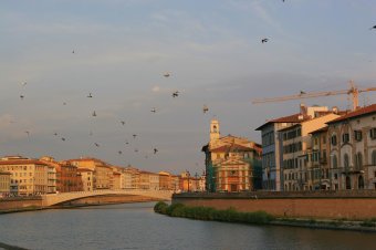 IMG_4855.JPG
