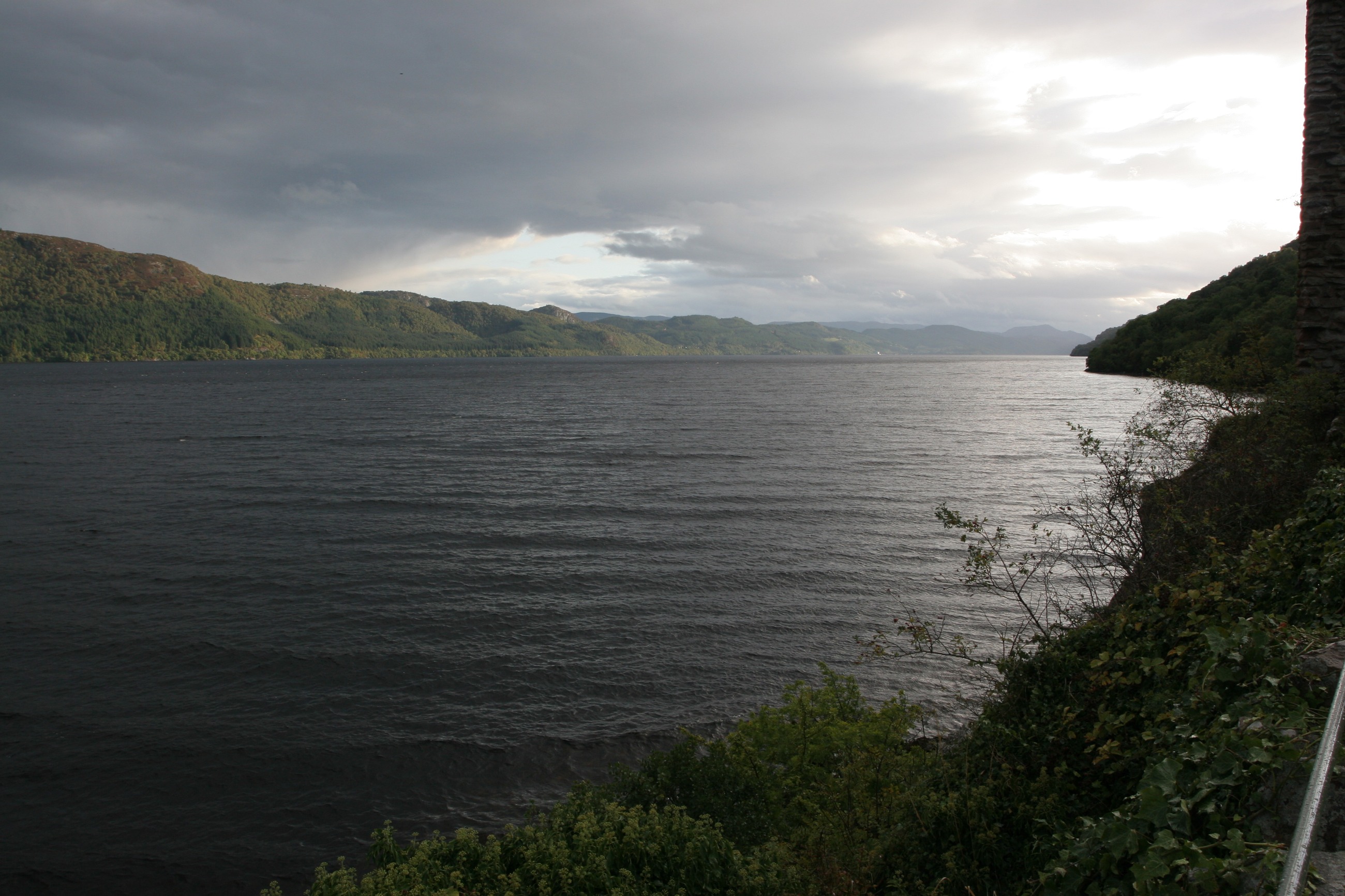 IMG_7563.JPG