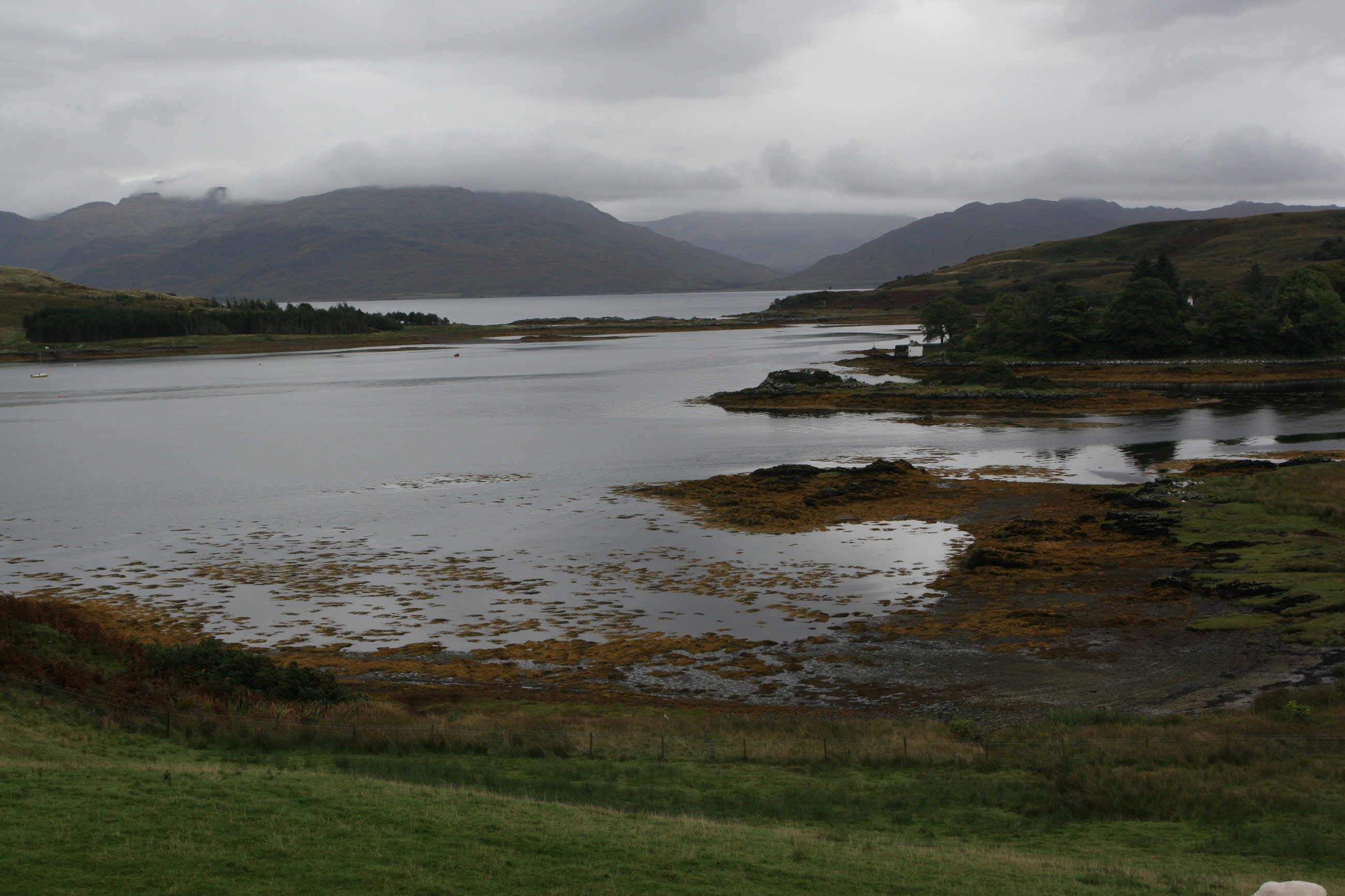 IMG_7607.JPG
