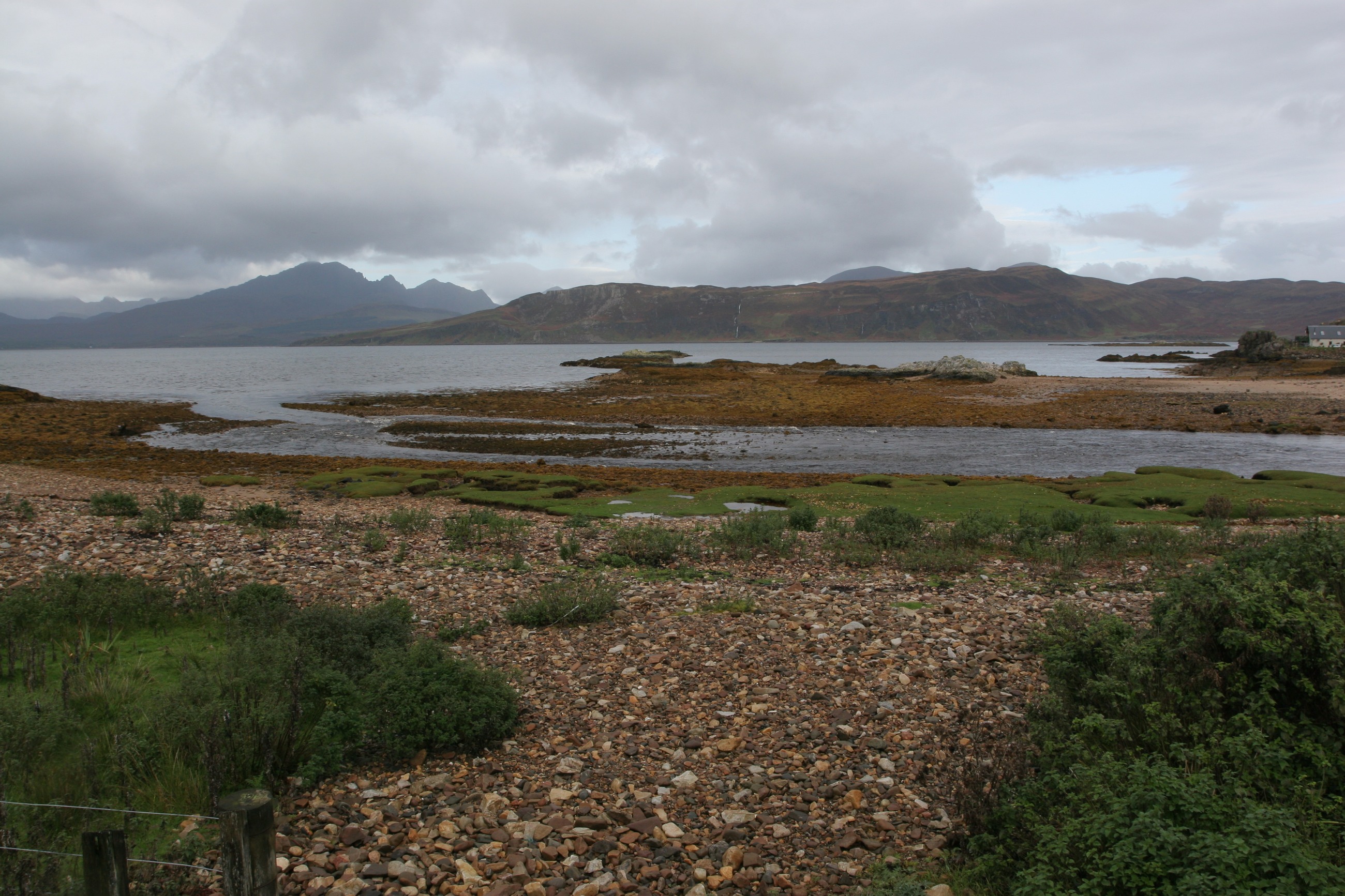 IMG_7620.JPG