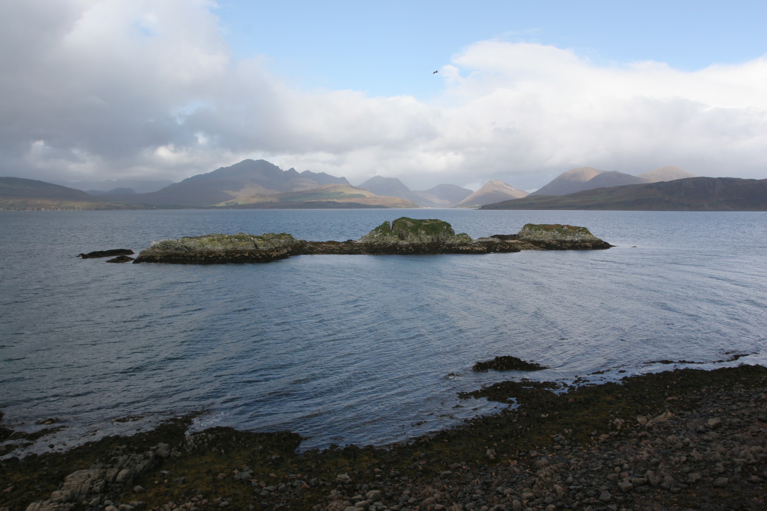 IMG_7637.JPG