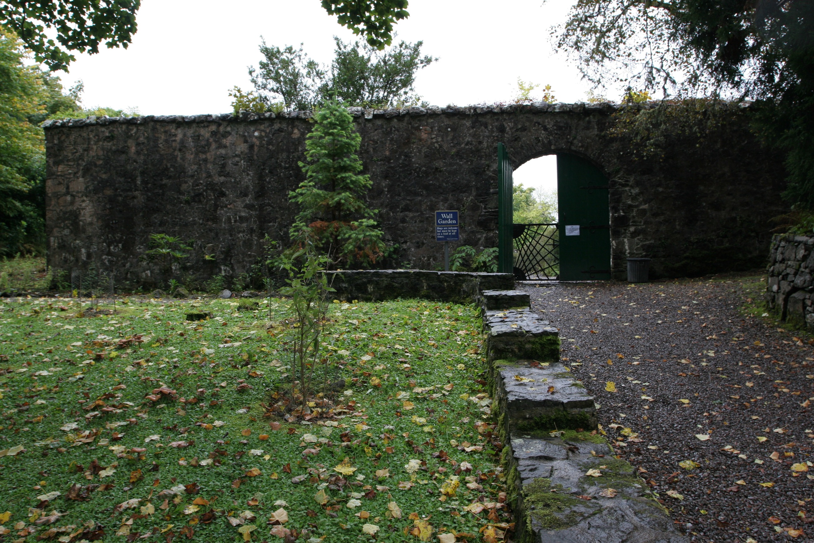 IMG_7737.JPG