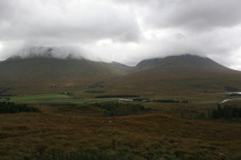 IMG_7490.JPG
