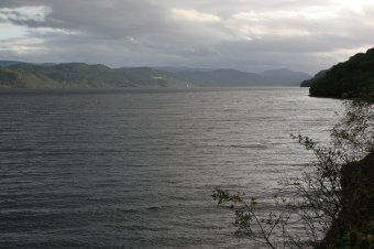IMG_7564.JPG