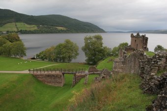 IMG_7574.JPG