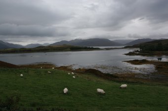 IMG_7603.JPG