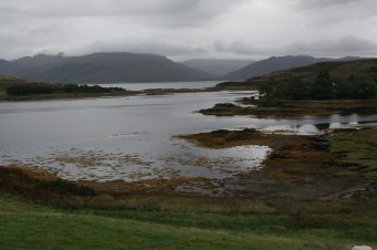 IMG_7607.JPG