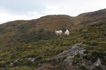 IMG_7613.JPG