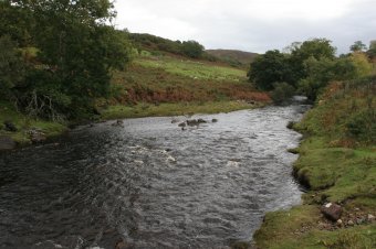 IMG_7623.JPG