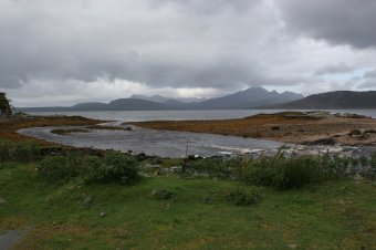 IMG_7625.JPG
