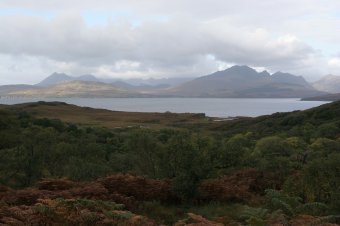 IMG_7629.JPG