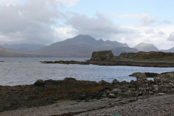 IMG_7630.JPG
