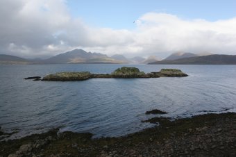 IMG_7637.JPG