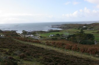 IMG_7662.JPG