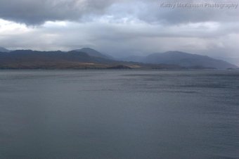 IMG_7681.JPG