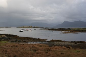 IMG_7702.JPG
