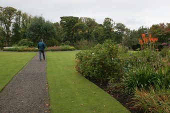 IMG_7736.JPG