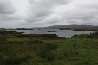 IMG_7745.JPG