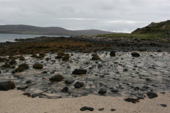 IMG_7751.JPG