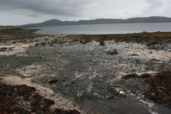 IMG_7754.JPG