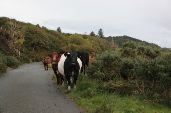 IMG_7792.JPG