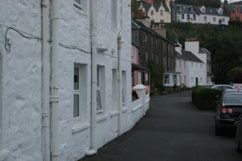 IMG_7798.JPG