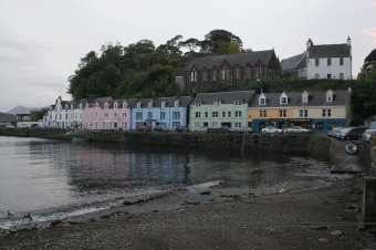 IMG_7800.JPG