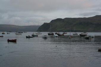 IMG_7802.JPG