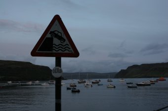 IMG_7828.JPG