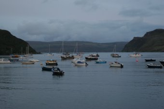 IMG_7829.JPG