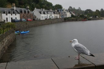 IMG_7844.JPG