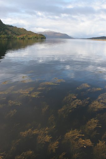 IMG_7860.JPG