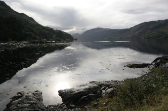IMG_7864.JPG
