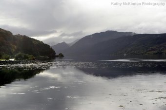 IMG_7866.JPG