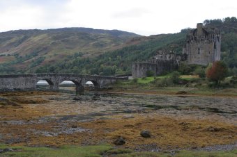 IMG_7887.JPG