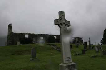 IMG_7892.JPG