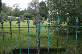 IMG_7917.JPG