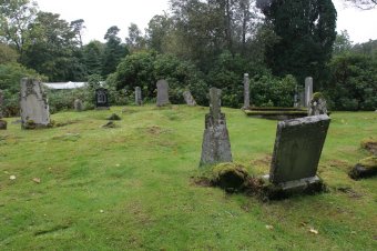 IMG_7918.JPG