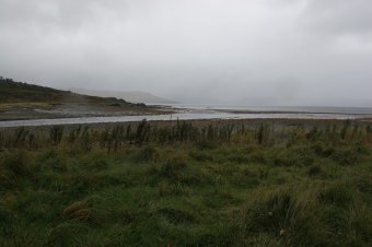 IMG_7950.JPG
