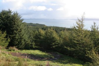 IMG_7989.JPG