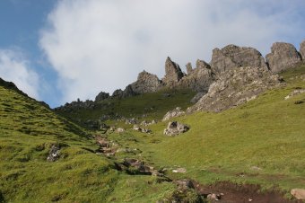 IMG_8008.JPG
