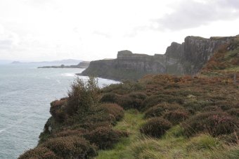 IMG_8050.JPG