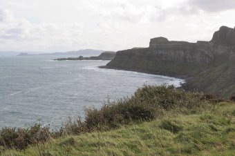 IMG_8051.JPG