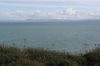 IMG_8052.JPG